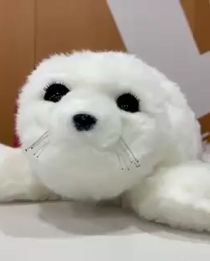 El doctor Takanori Shibata visita Guadassuar per explicar els beneficis de la foca rob&ograve;tica Nuka